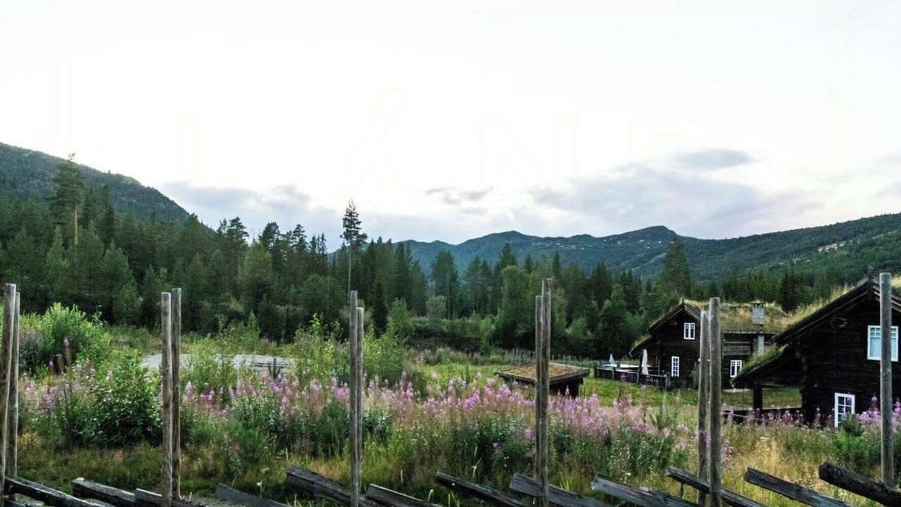 Photo of Others in Nore og Uvdal