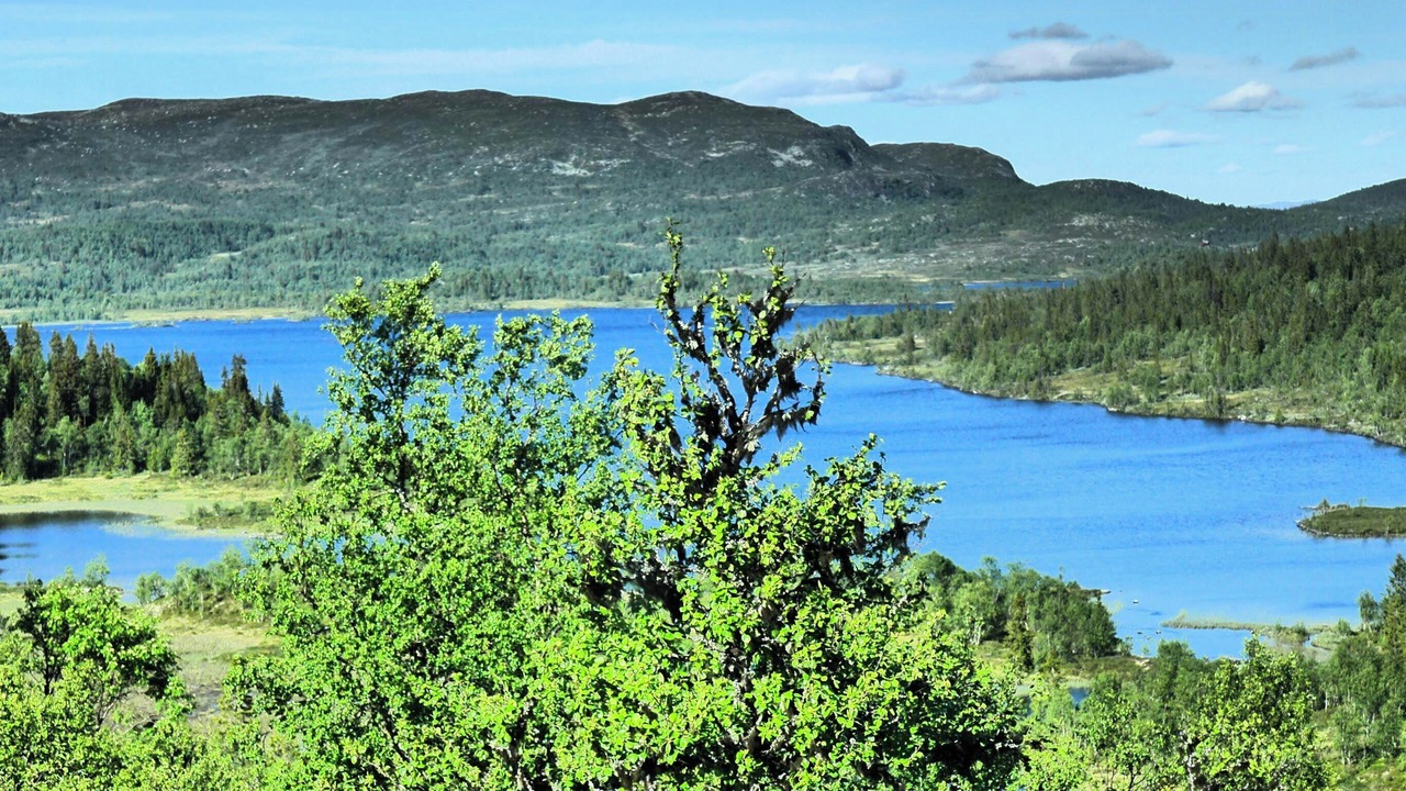 Photo of Others in Nore og Uvdal