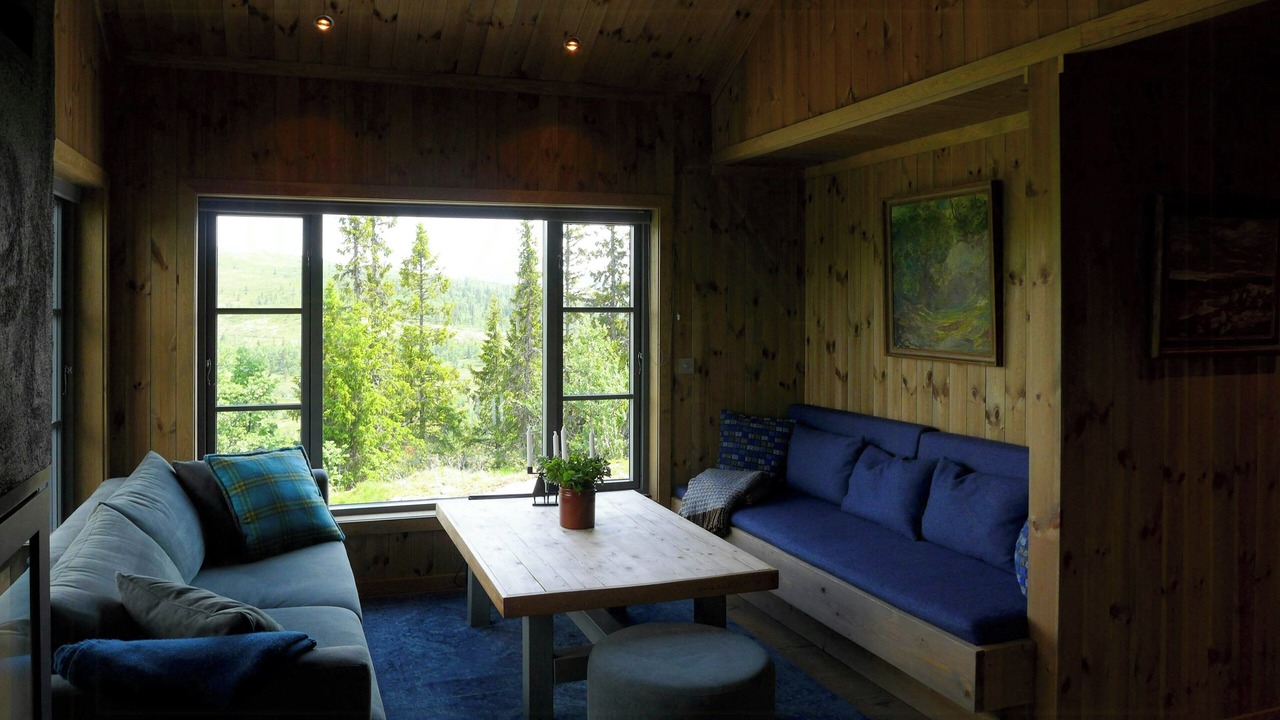 Photo of Livingroom in Nore og Uvdal
