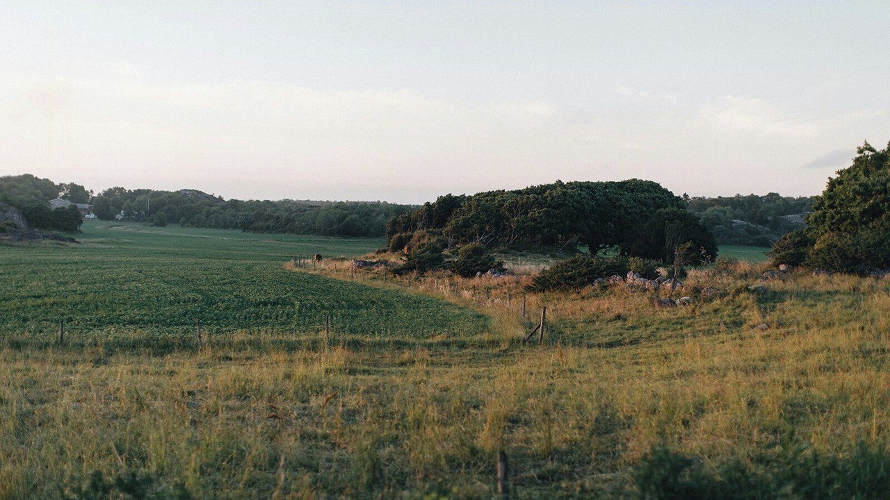 Photo of Others in Grebbestad
