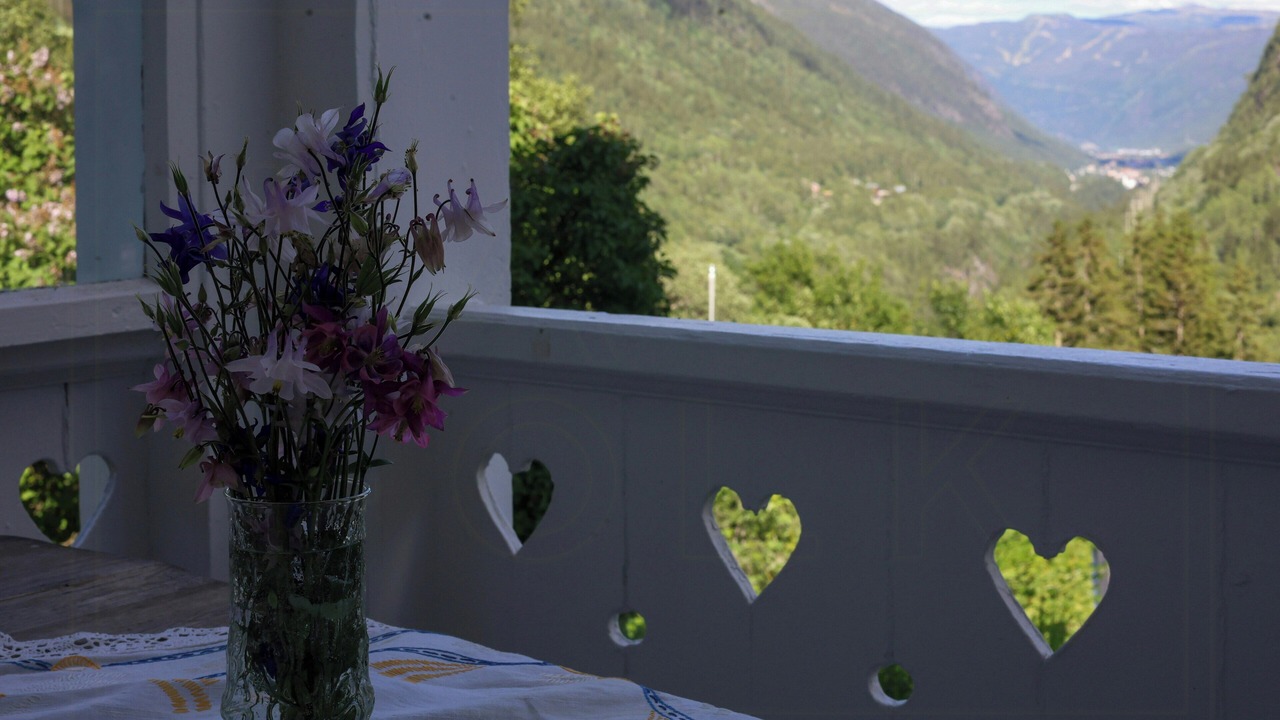 Photo of Outdoor in Tinn