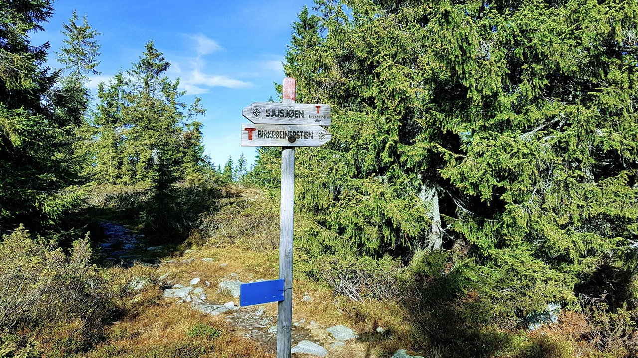 Photo of Others in Sjusjoen