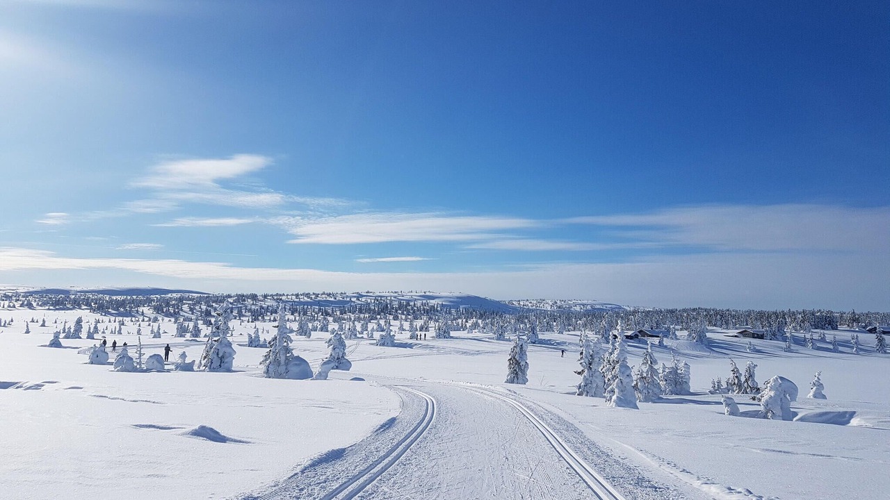 Photo of Others in Sjusjoen