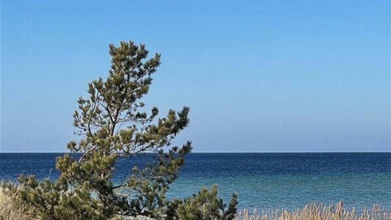 Photo of Others in Tofta