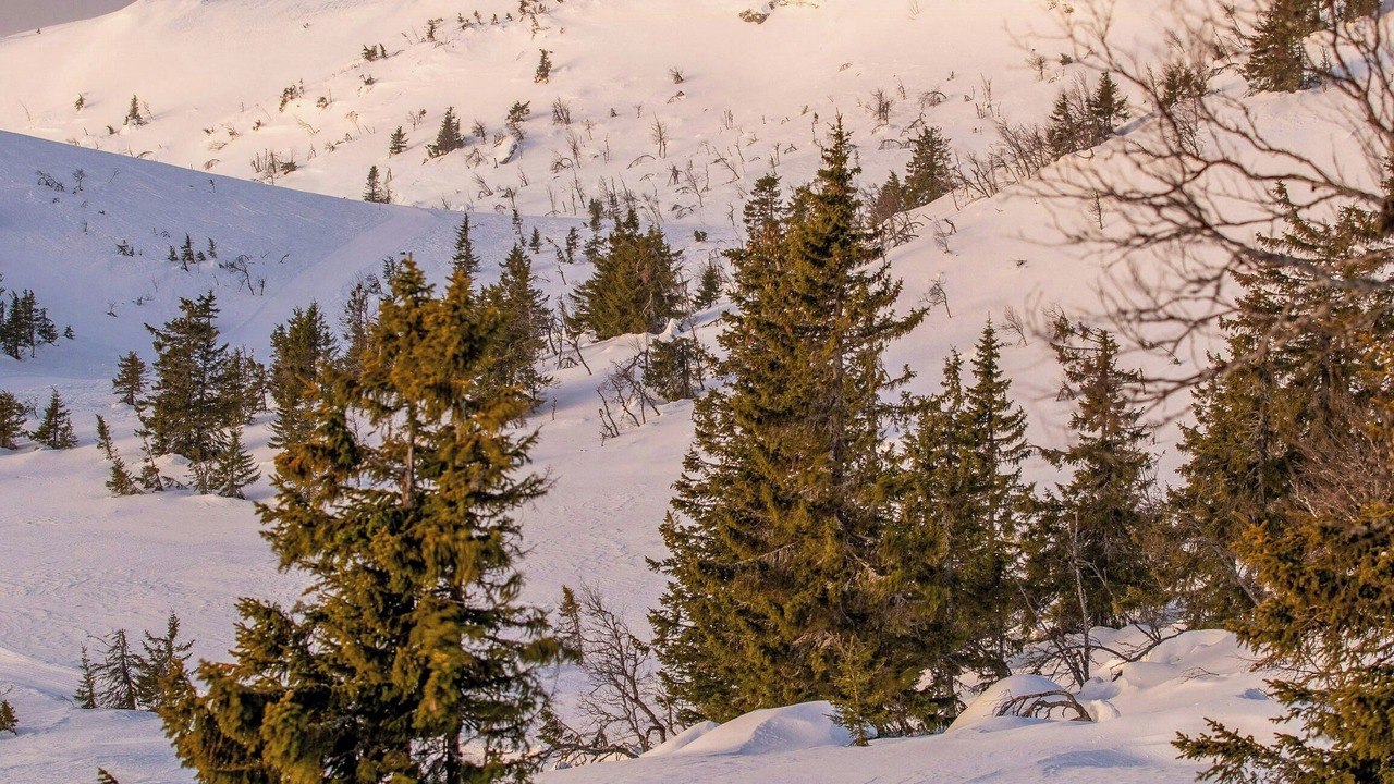 Photo of Others in Rollag