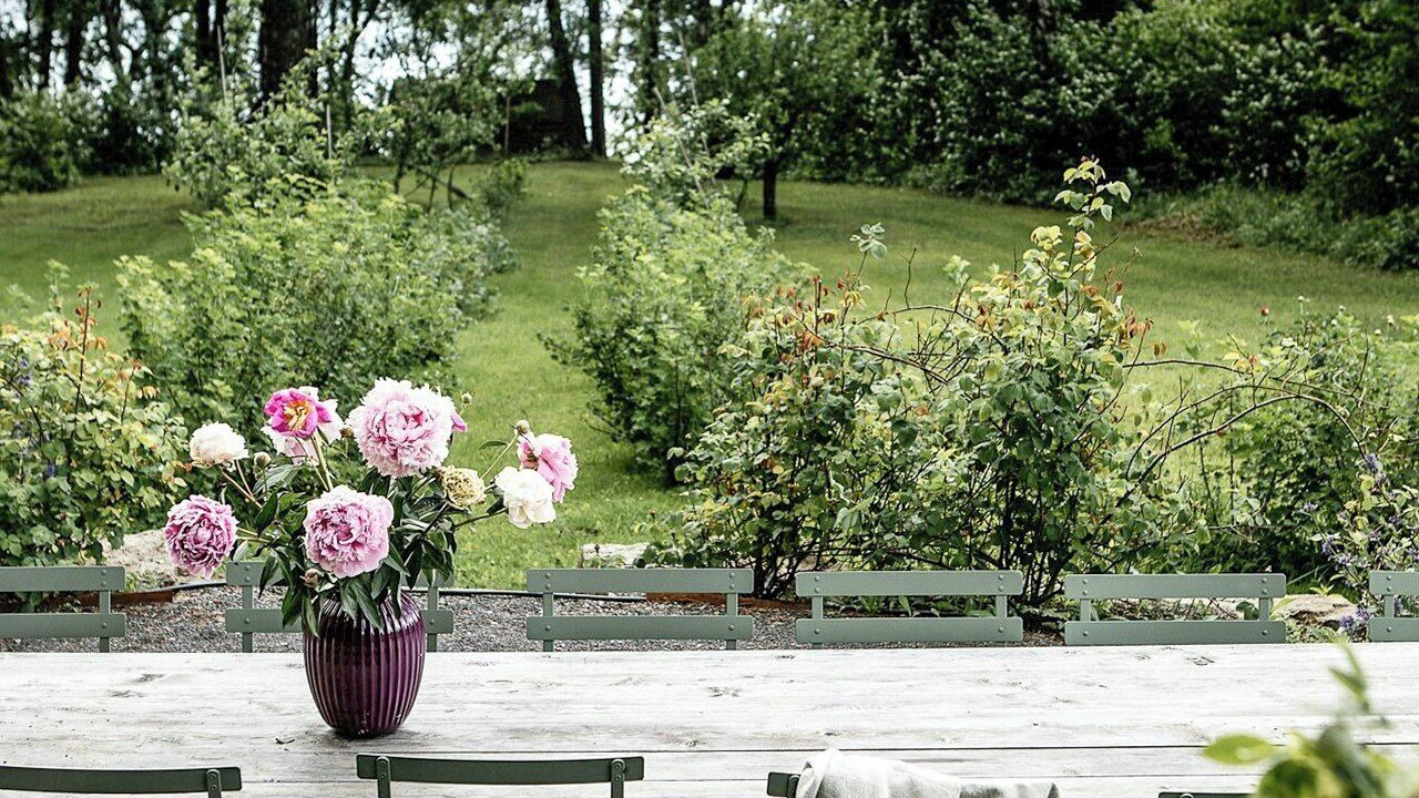 Photo of Outdoor in Hamar Municipality