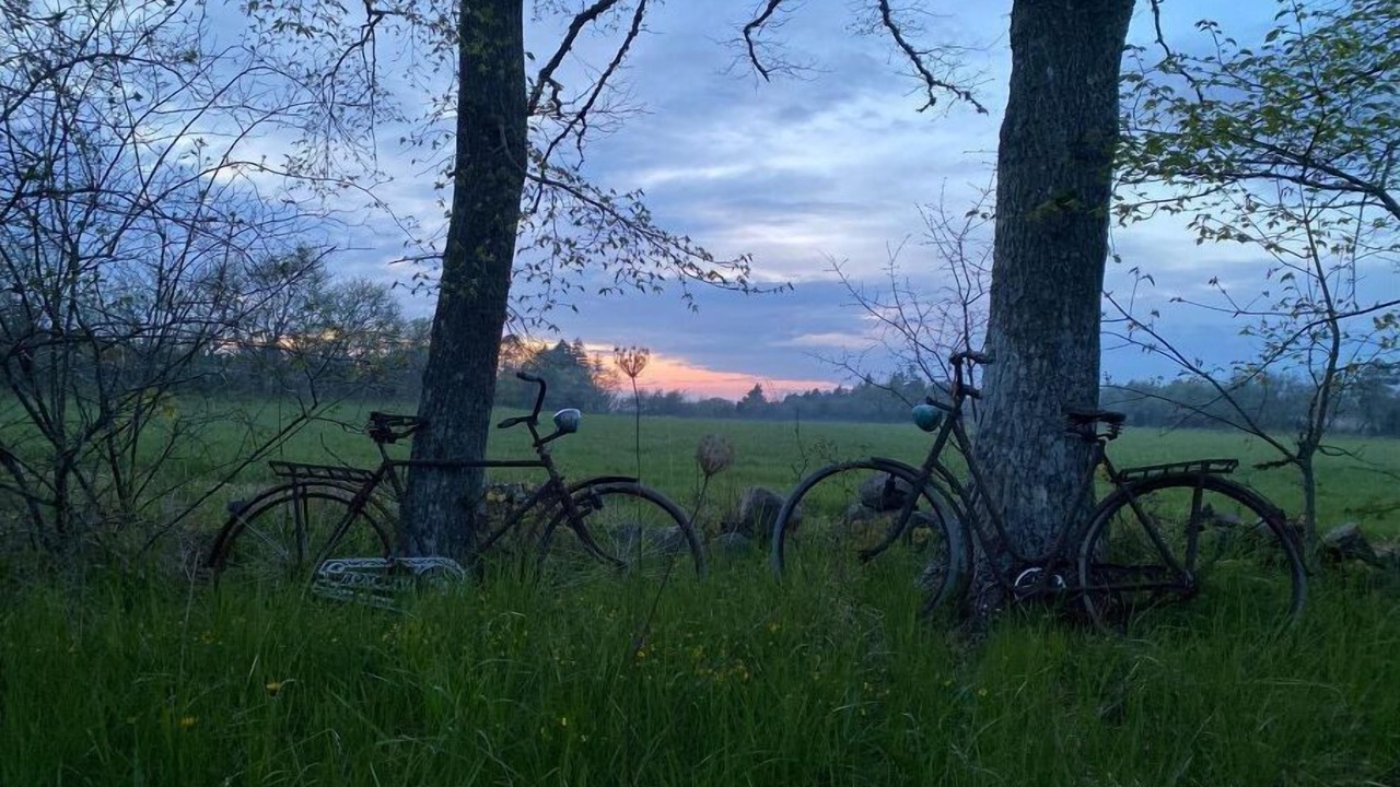 Photo of Others in Burgsvik