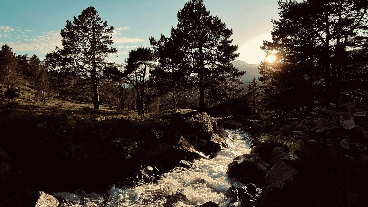 Photo of Others in Møre og Romsdal