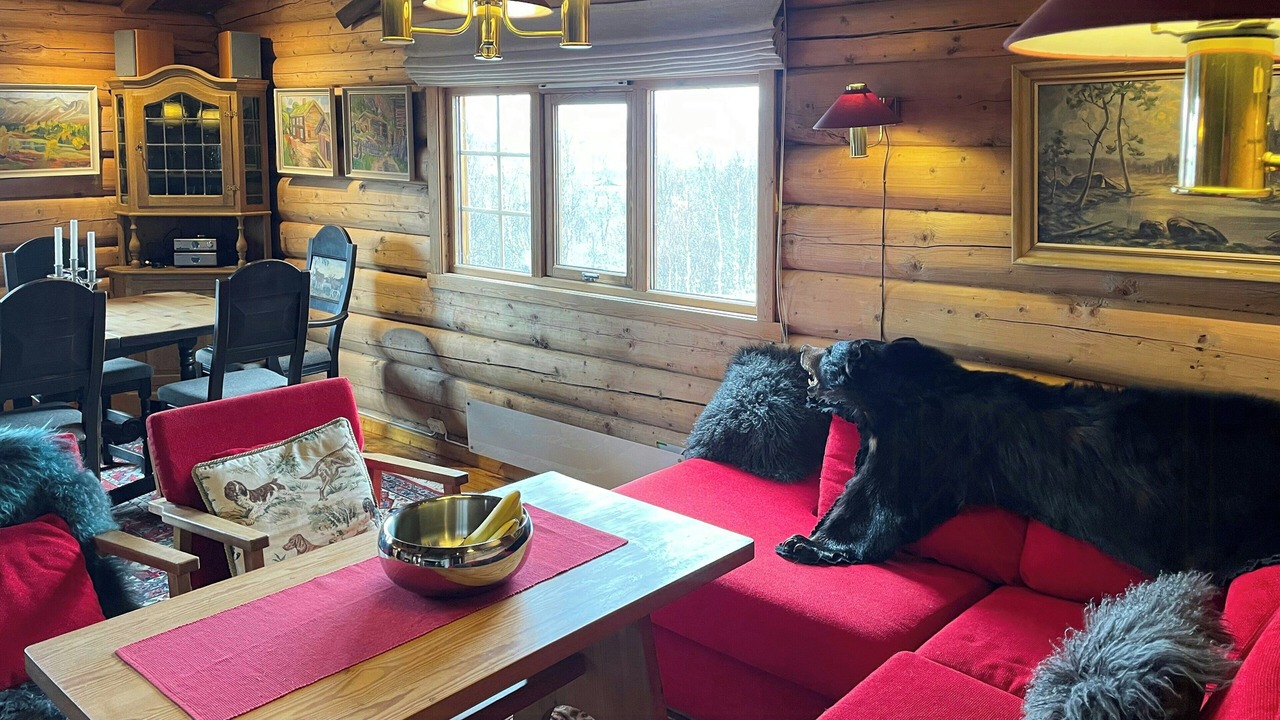 Photo of Livingroom in Gol Municipality