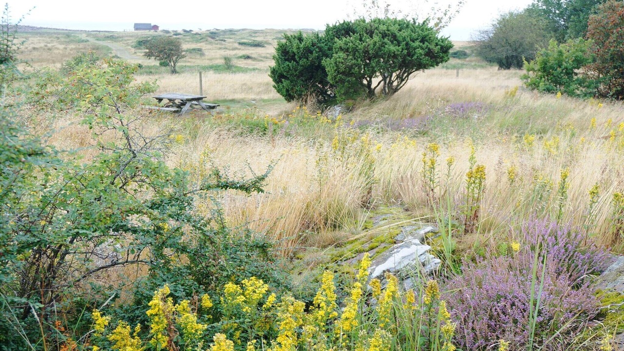 Photo of Others in Falkenberg