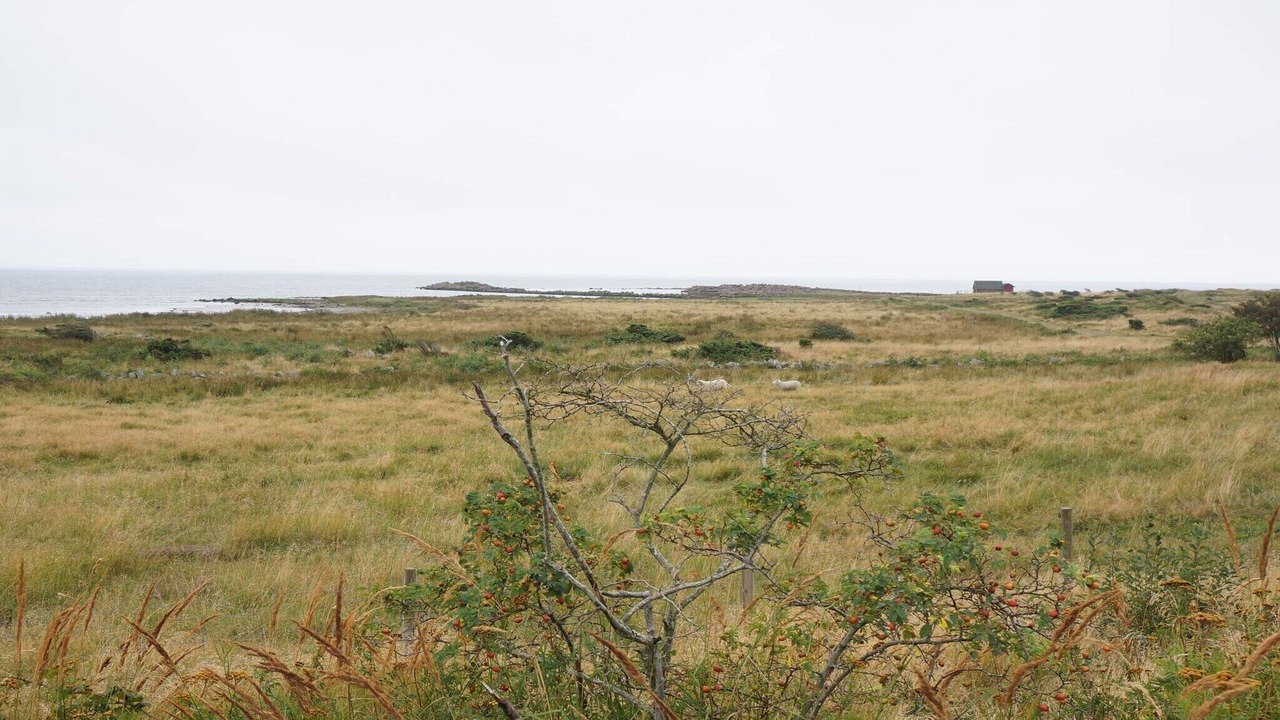 Photo of Others in Falkenberg