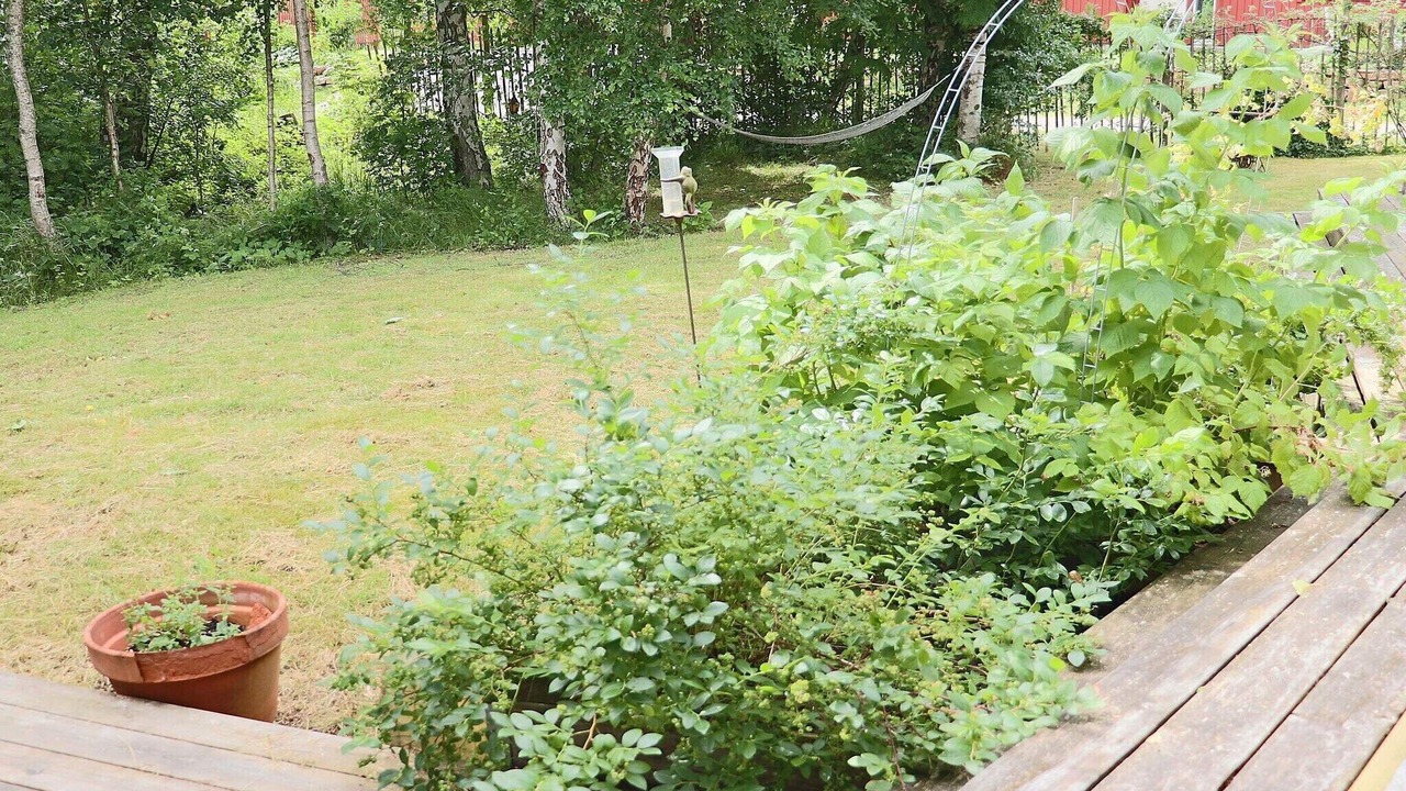 Photo of Outdoor in Falkenberg