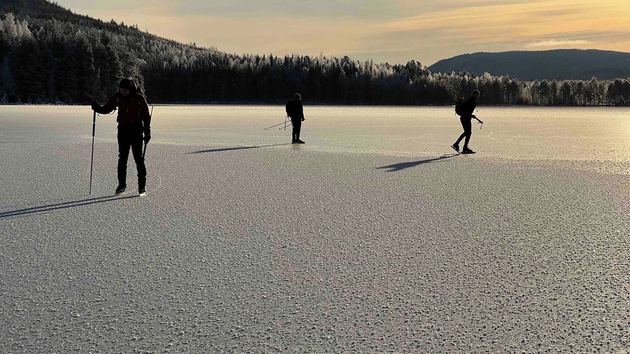 Photo of Others in Nasviken