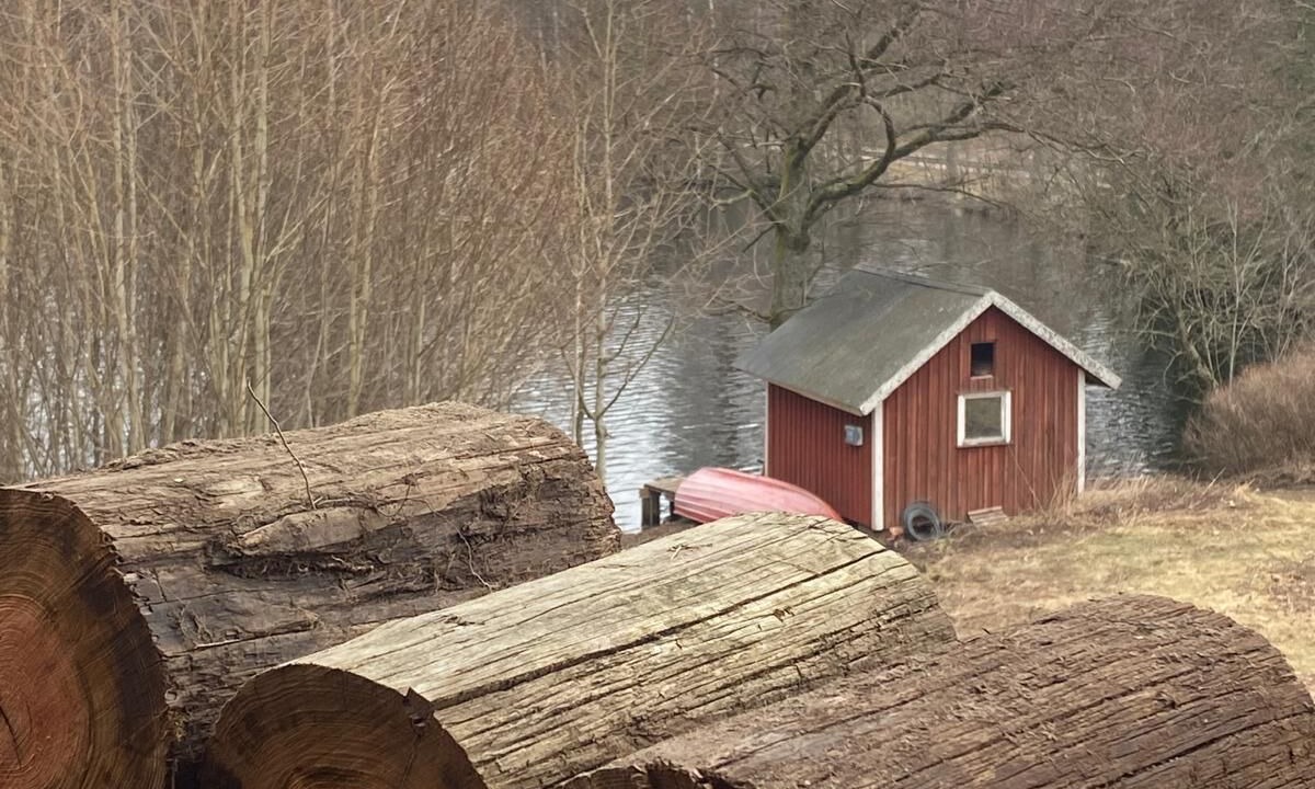 Photo of Others in Hacksvik