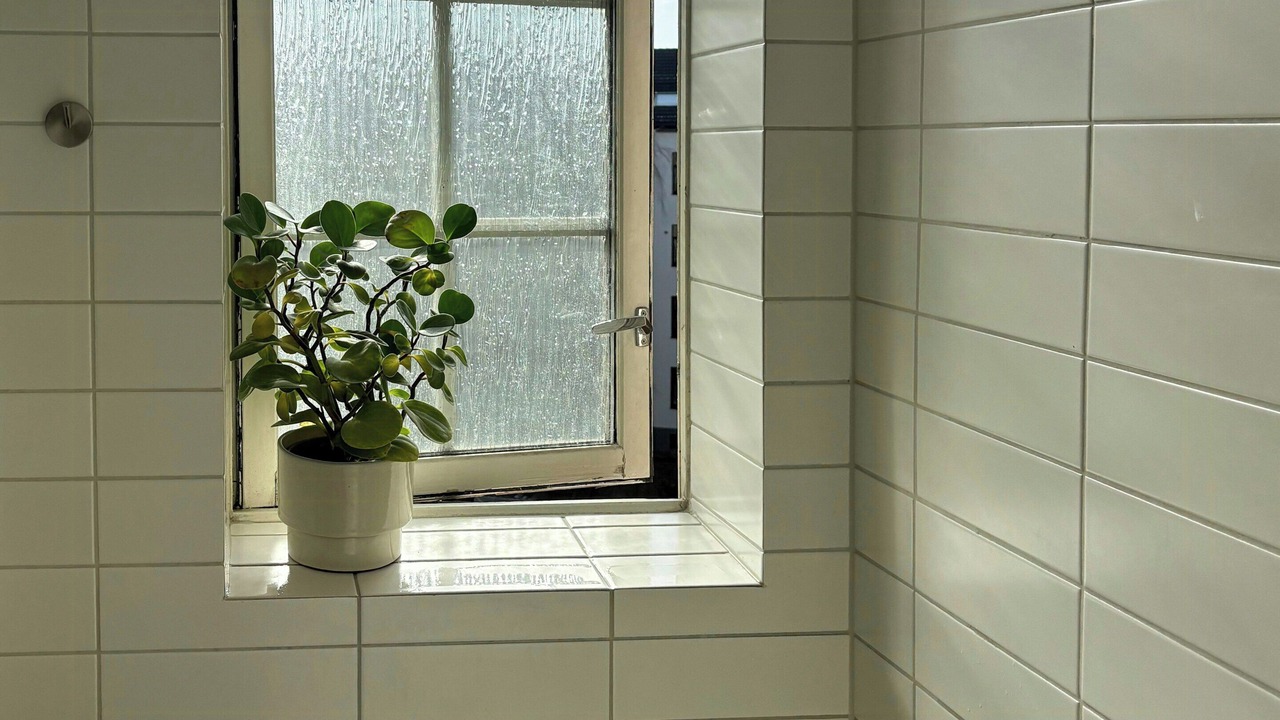 Photo of Bathroom in Bislett
