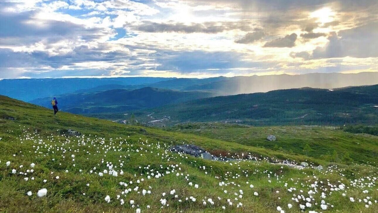 Photo of Others in Vikberget