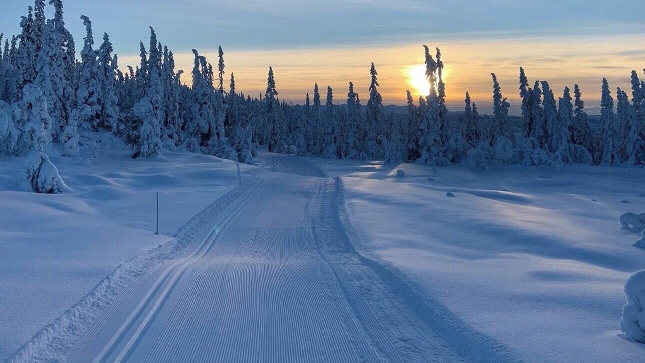 Photo of Others in Vikberget