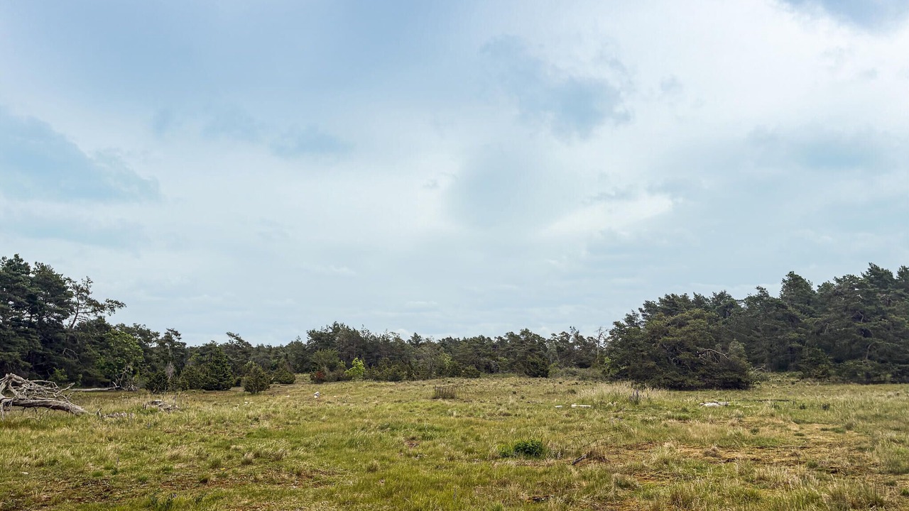 Photo of Others in Larbro