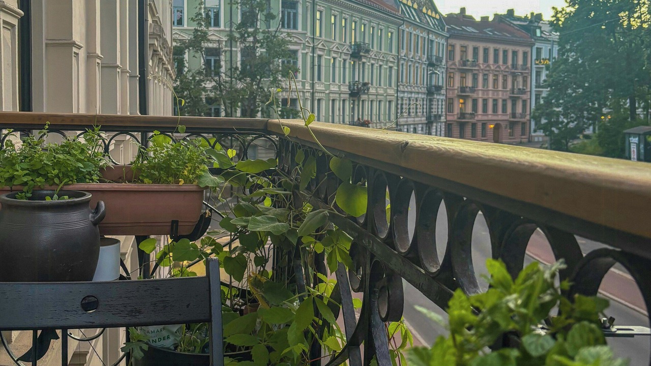 Photo of Outdoor in St. Hanshaugen