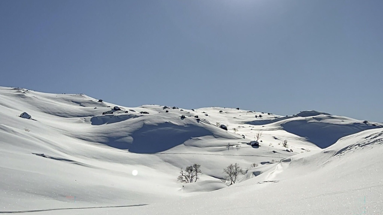 Photo of Others in Fidjeland
