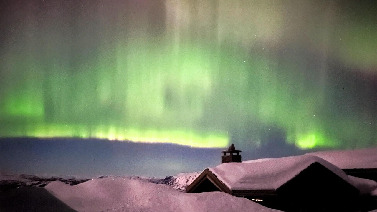 Photo of Others in Fidjeland