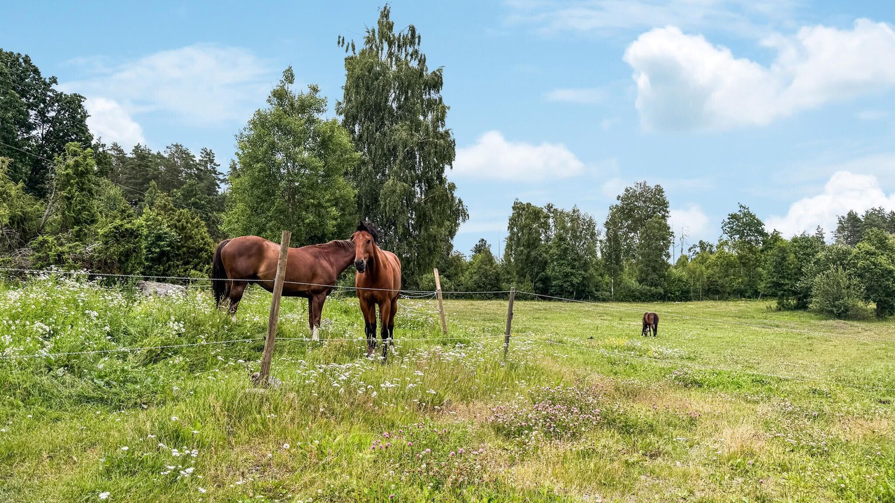 Photo of Others in Östergötland