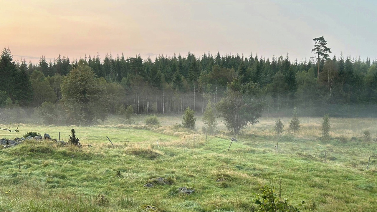 Photo of Others in Ullared