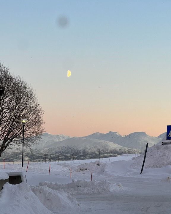 Photo of Others in Tromso