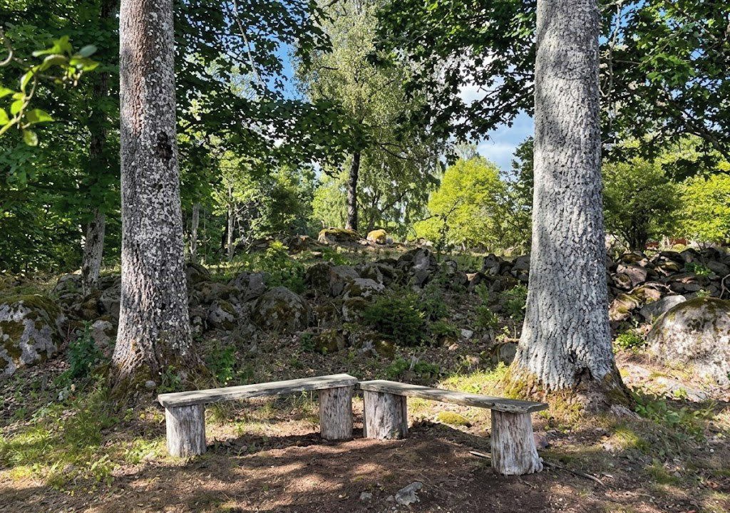 Photo of Outdoor in Asarum