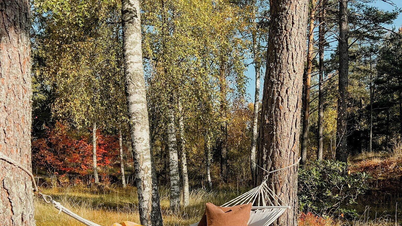 Photo of Outdoor in Norrtalje Municipality