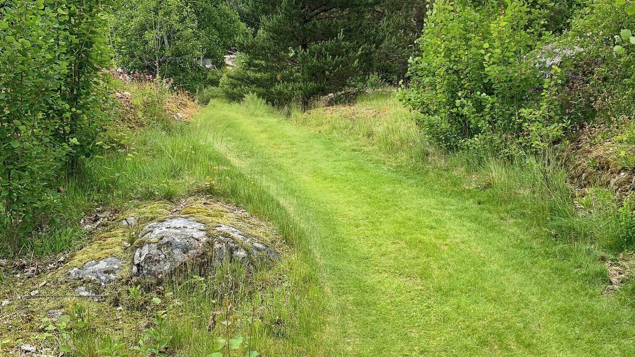 Photo of Others in Hurum