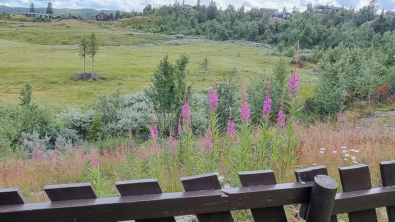 Photo of Others in Sor-Aurdal