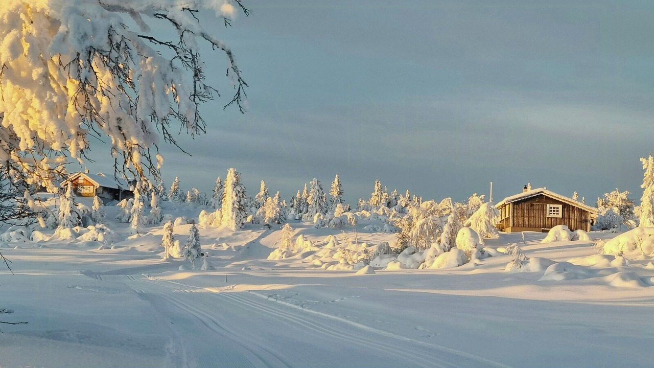 Photo of Others in Sor-Aurdal