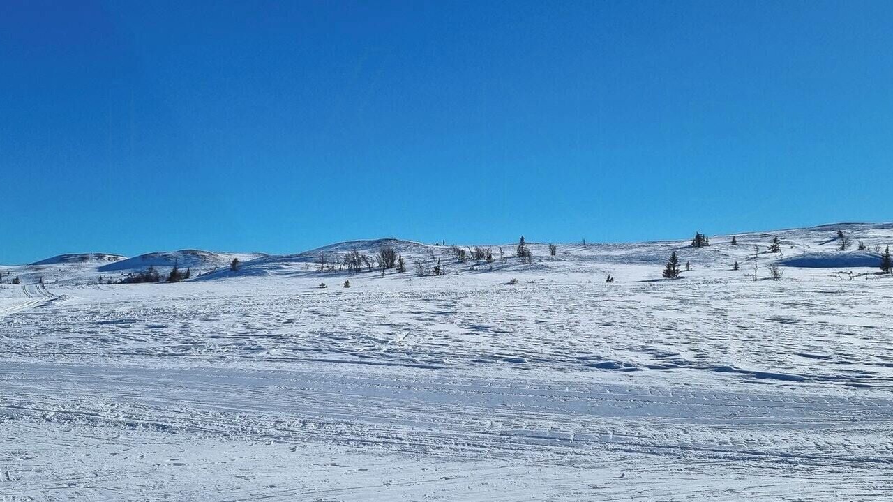 Photo of Others in Sor-Aurdal