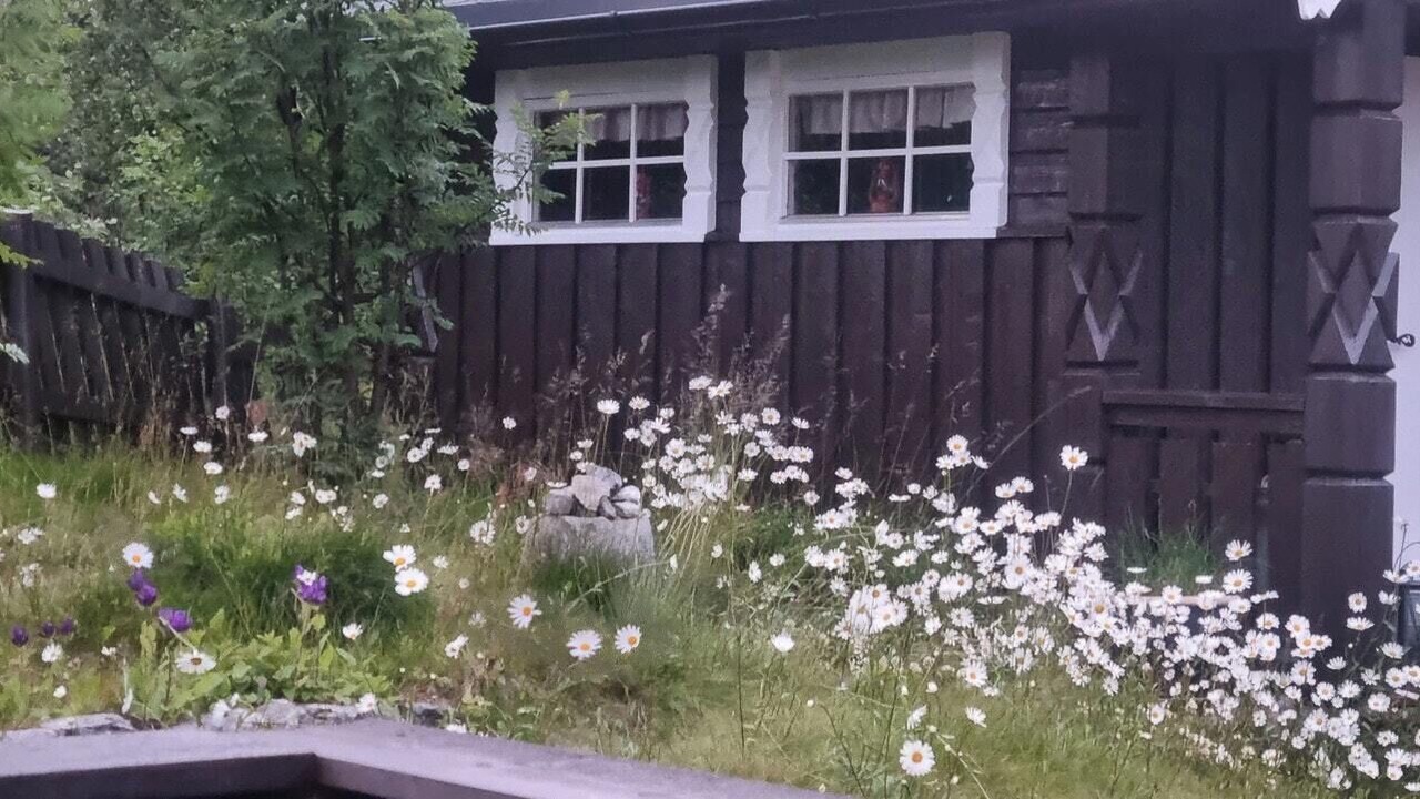 Photo of Outdoor in Sor-Aurdal
