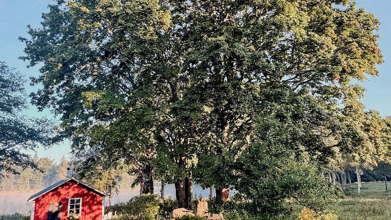Photo of Others in Skanes Fagerhult