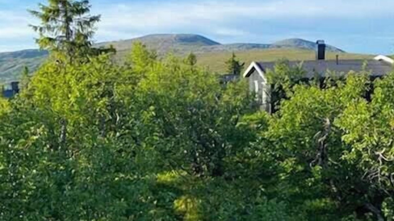 Photo of Others in Mælem