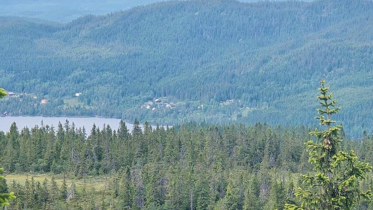 Photo of Others in Hurdal
