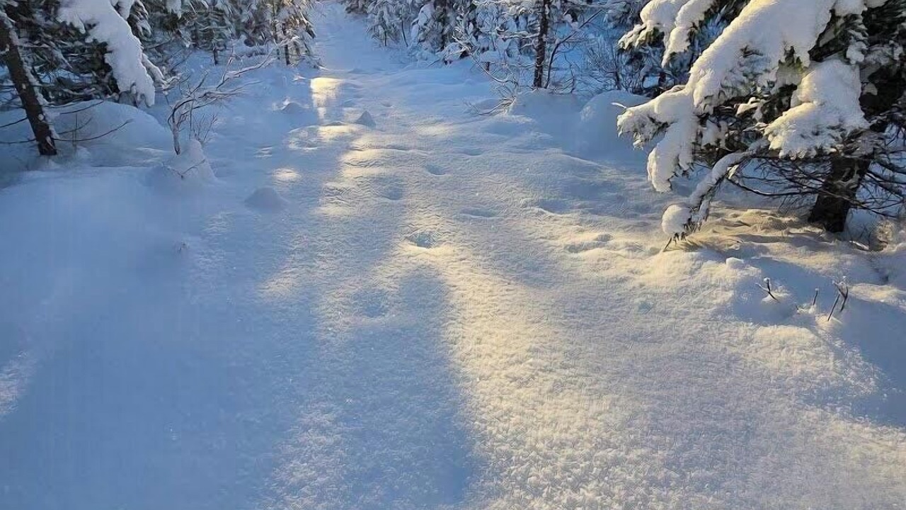 Photo of Others in Hurdal
