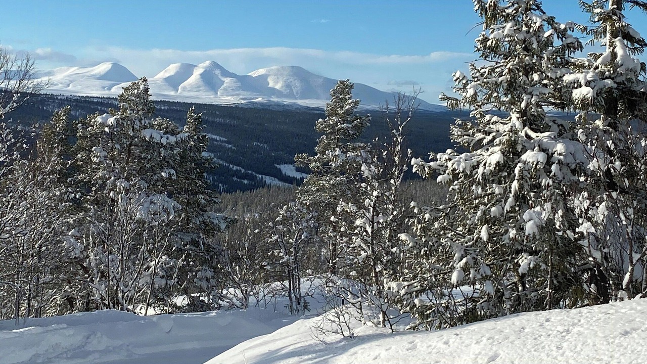 Photo of Others in Engerdal
