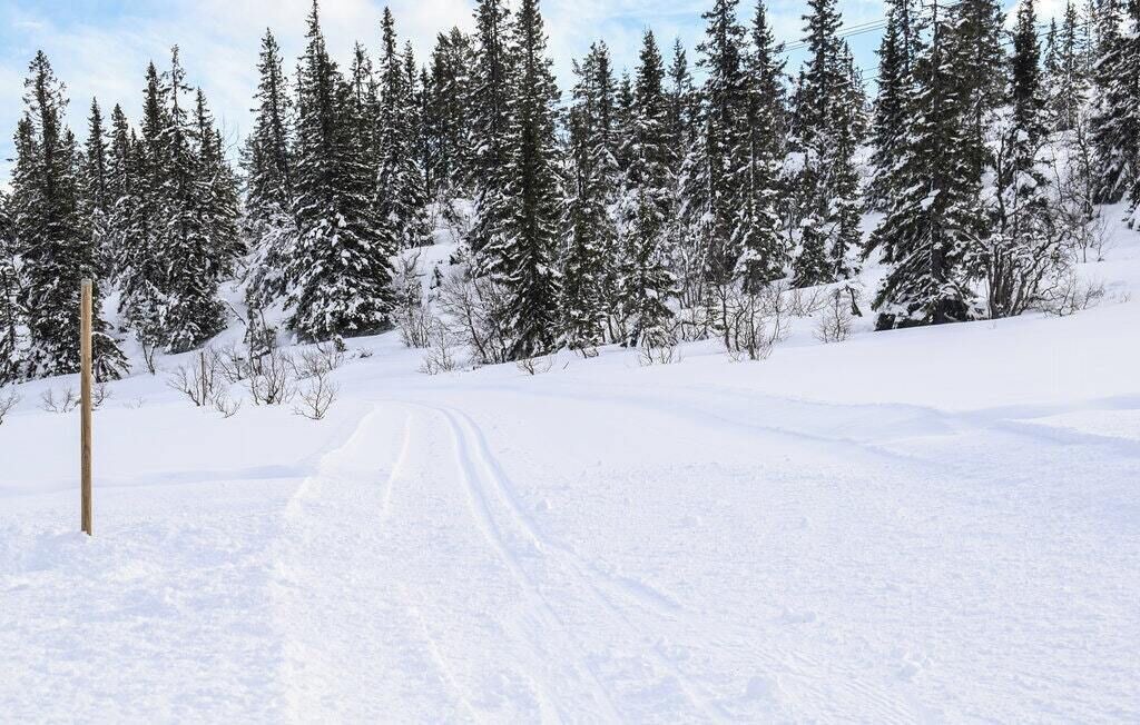 Photo of Others in Nissedal
