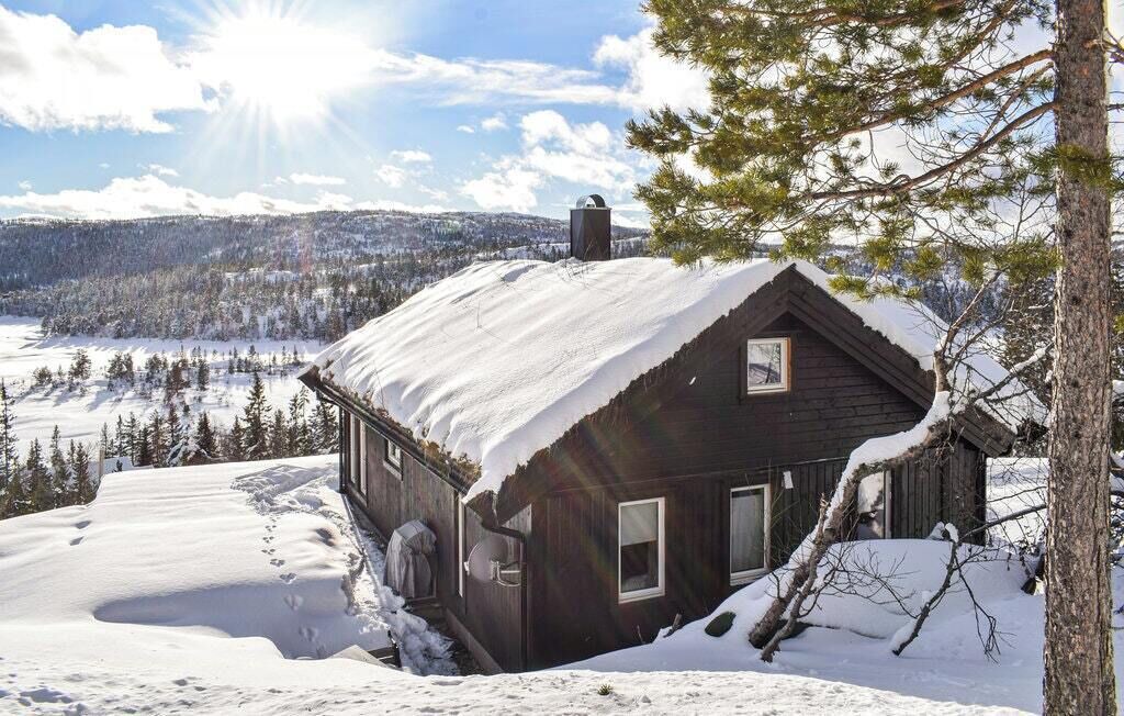 Photo of Outdoor in Nissedal