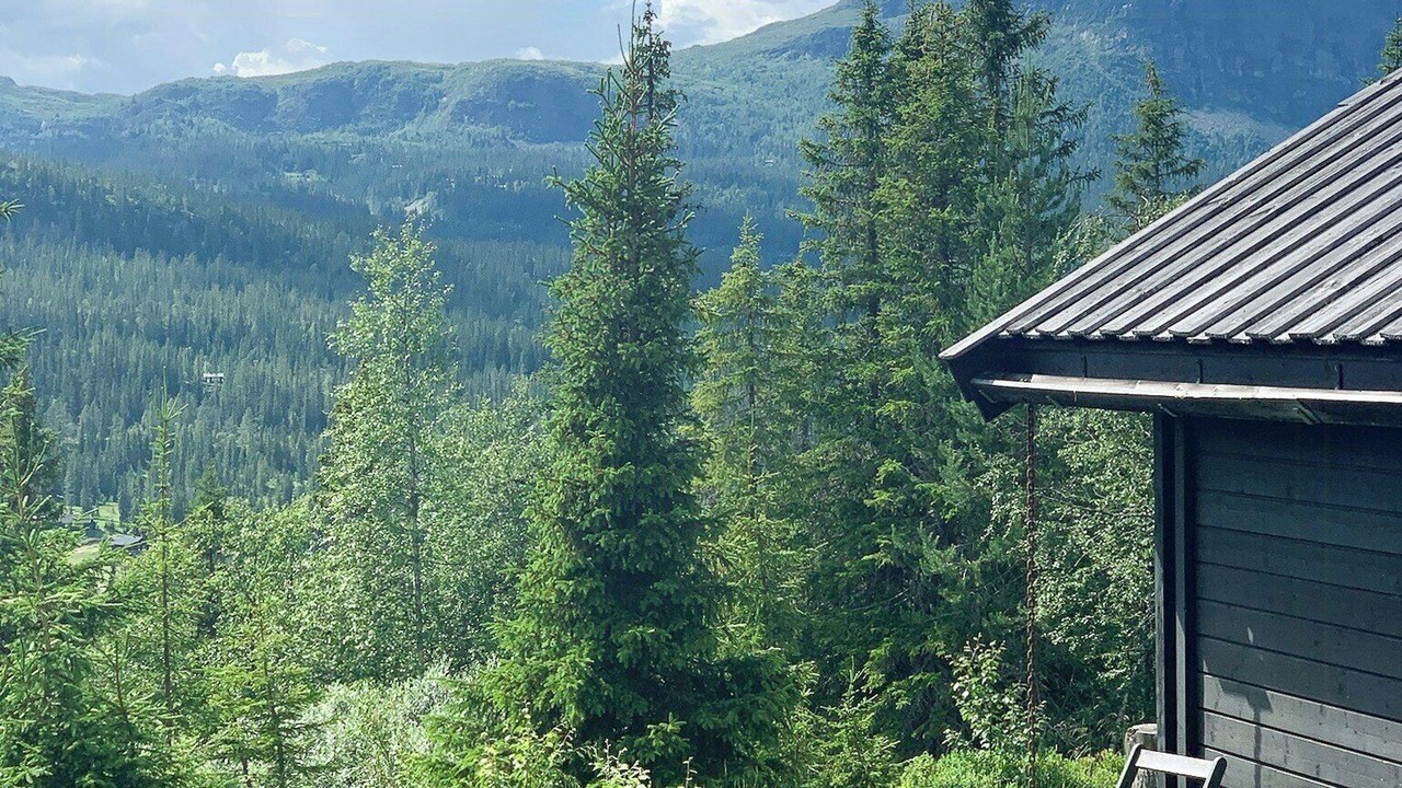 Photo of Outdoor in Fla Municipality