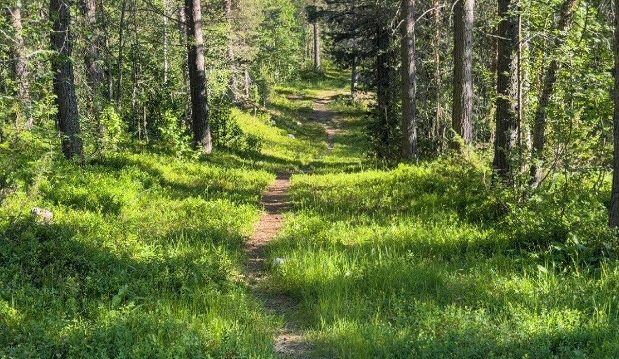 Photo of Others in Bjorli