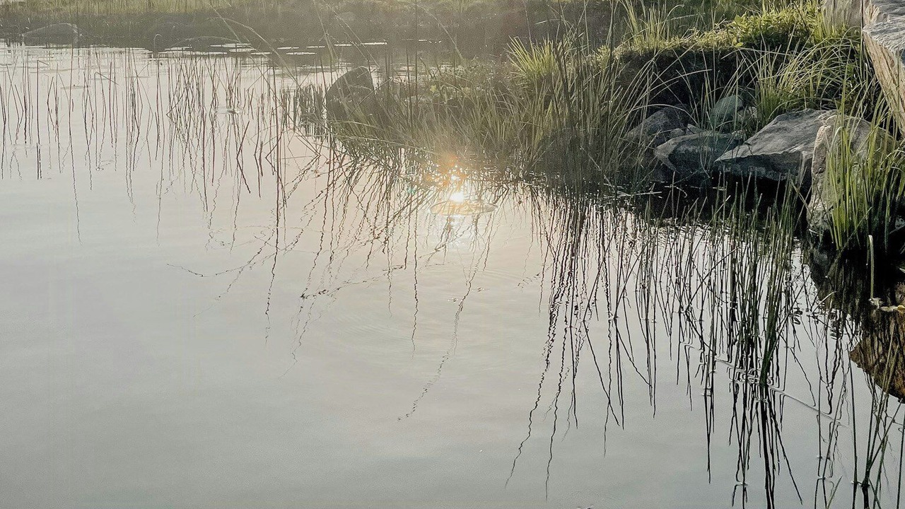 Photo of Others in Urshult
