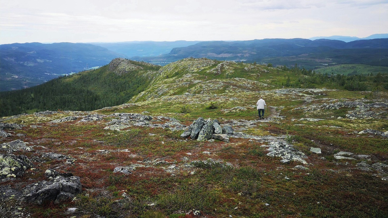 Photo of Others in Etnedal