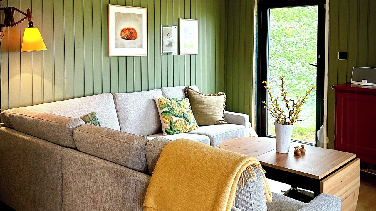 Photo of Livingroom in Fidjeland