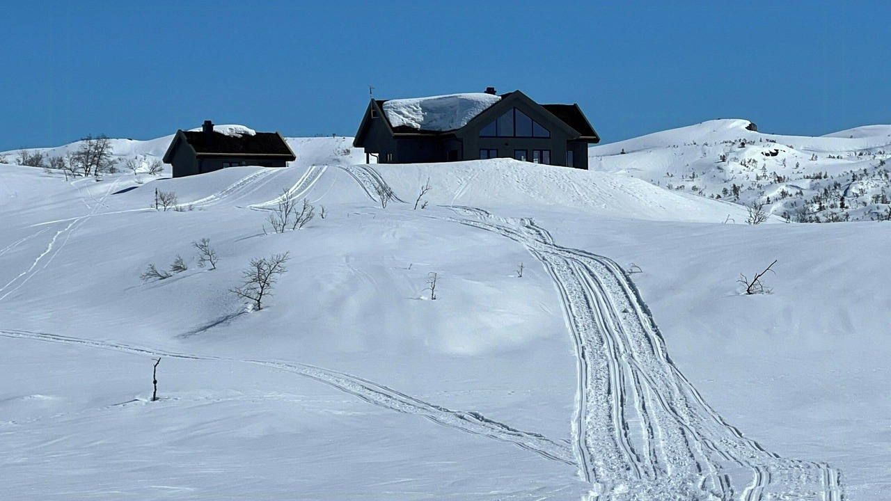 Photo of Others in Valle