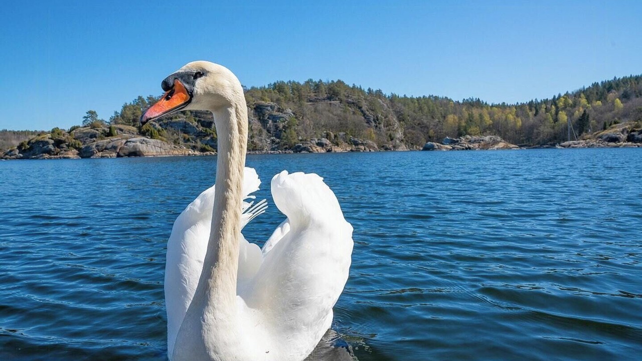 Photo of Others in Porsgrunn
