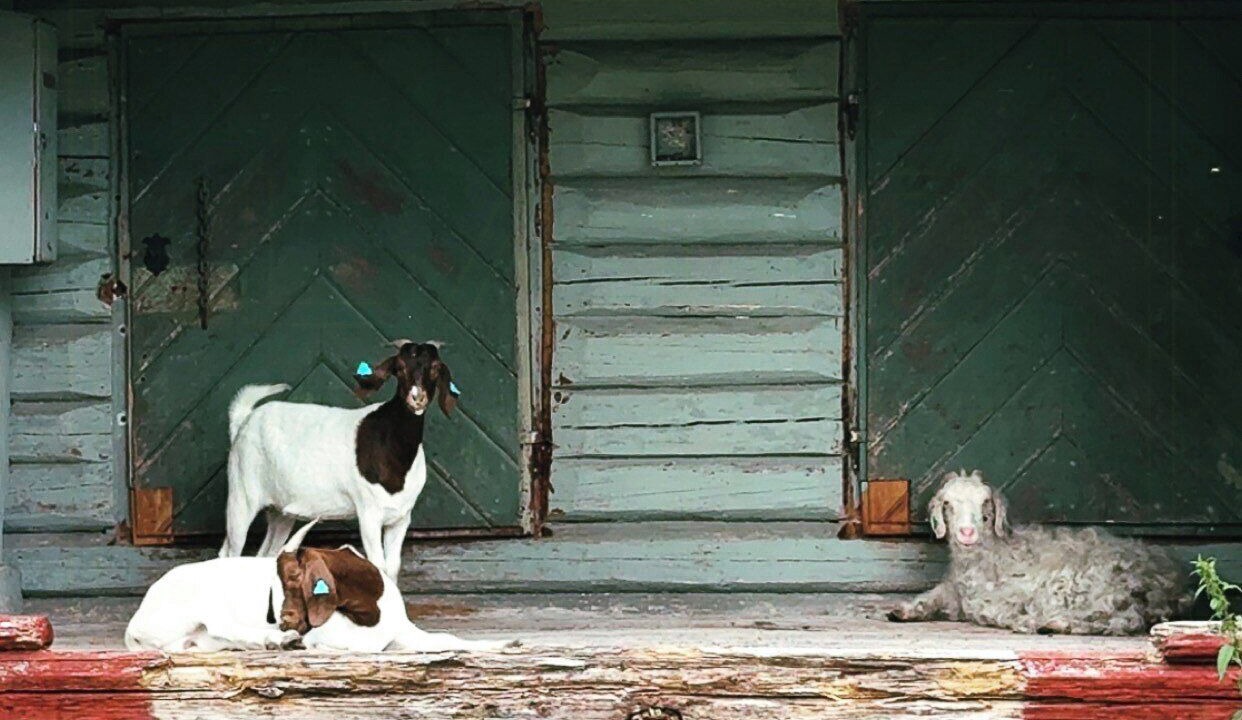Photo of Outdoor in Jevnaker